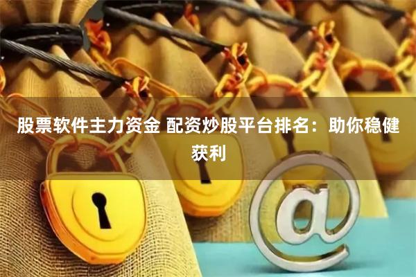 股票软件主力资金 配资炒股平台排名：助你稳健获利